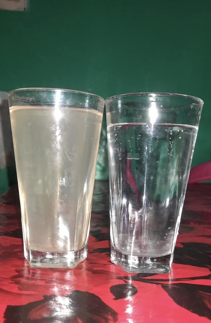 Essential (Manual) - Whole House Evergreen Water Filter - Image 49